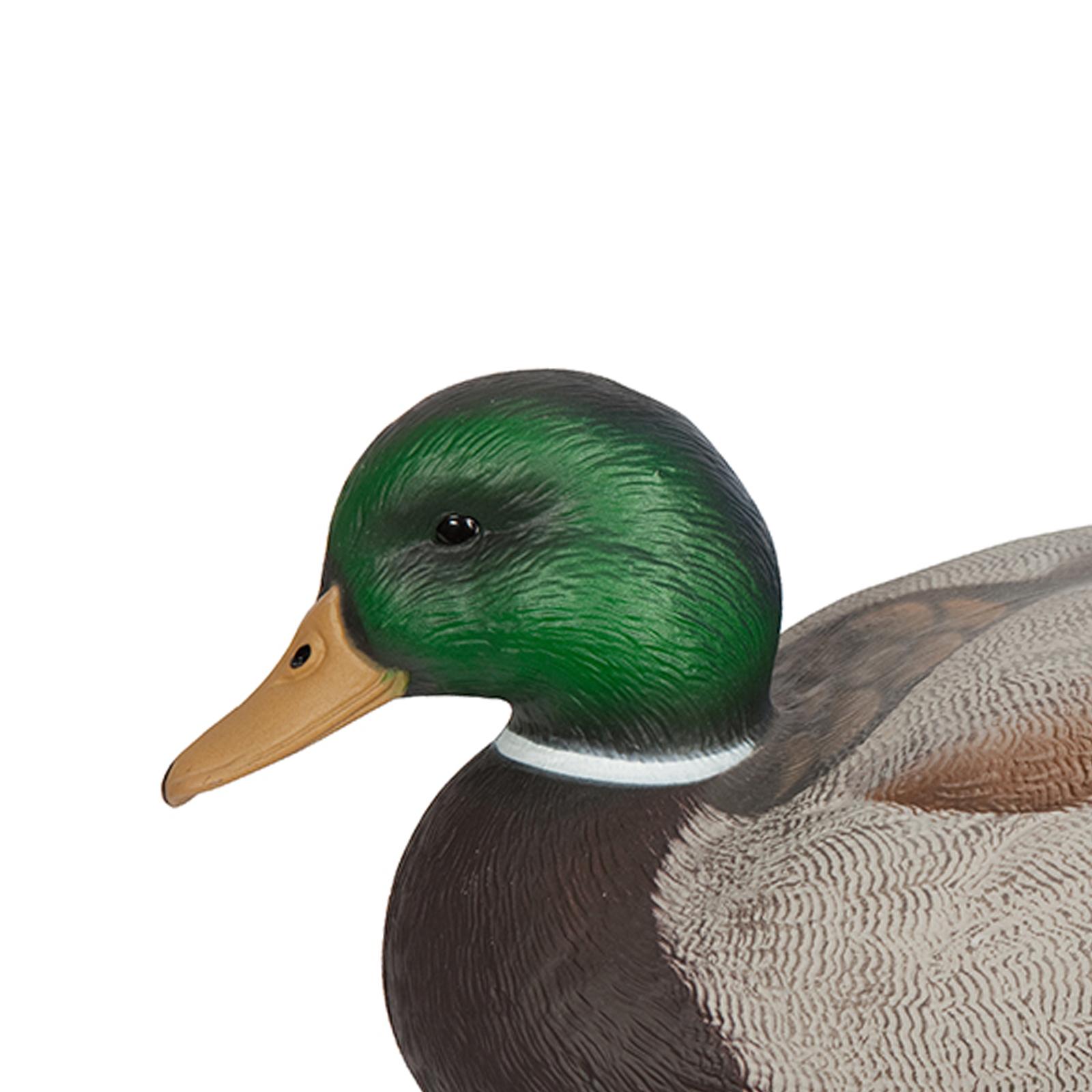 Fishing - Realistic Floating Drake Decoy Hunting Duck