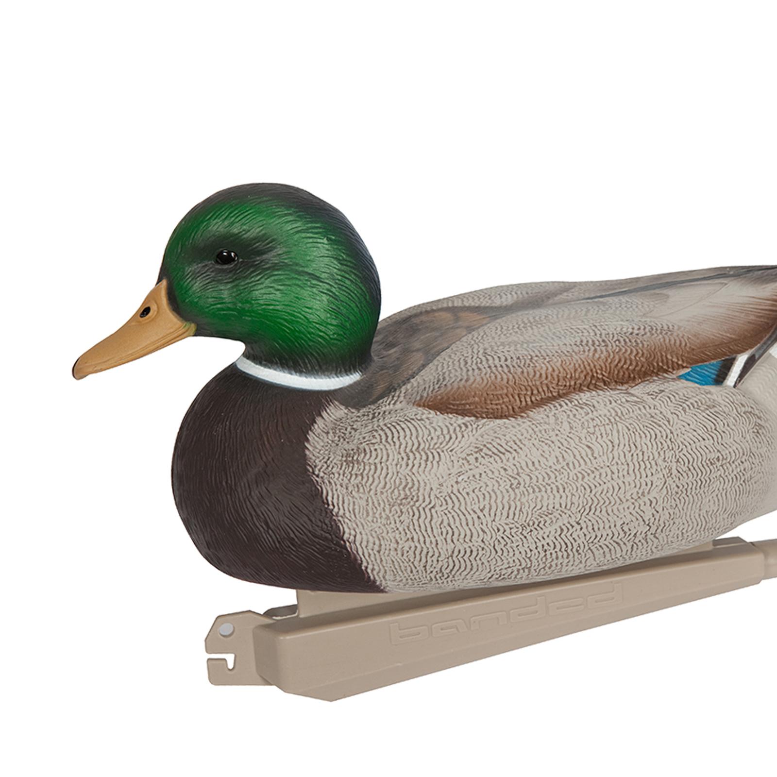 Realistic Floating Drake Decoy - Fishing review and price